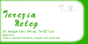 terezia meleg business card